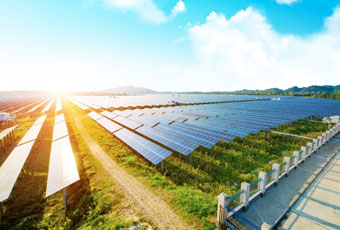 Paneles solares colocados sobre campo