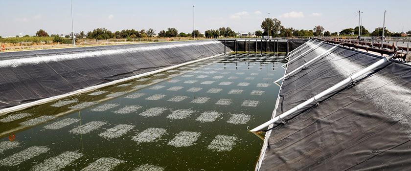 Planta potabilizadora de agua en Celaya