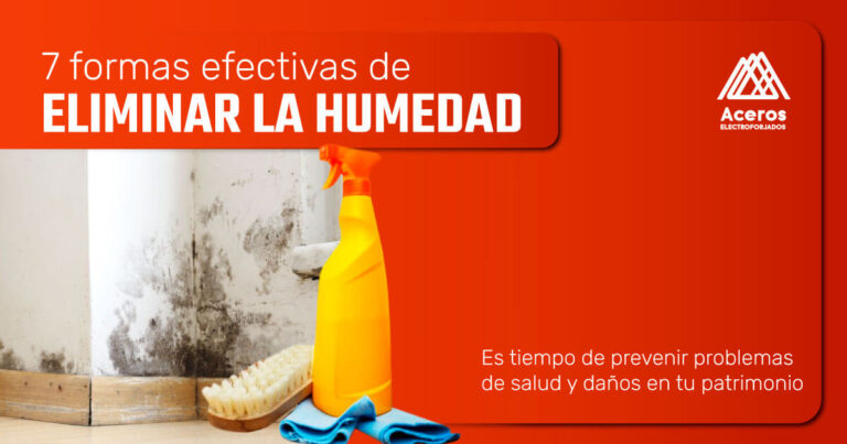 Productos de limpieza frente a pared con manchas de humedad