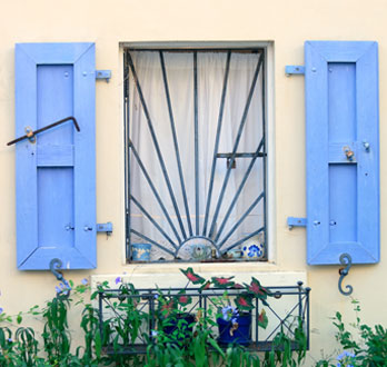 Protección rústica de herrería instalada sobre una ventana con plantas